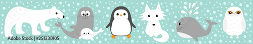 Arctic polar animal set line. White bear, owl, penguin, Seal pup baby harp sea lion fox wolf whale albatross seagall. Kids education cards Cute cartoon character Blue snow background Flat design