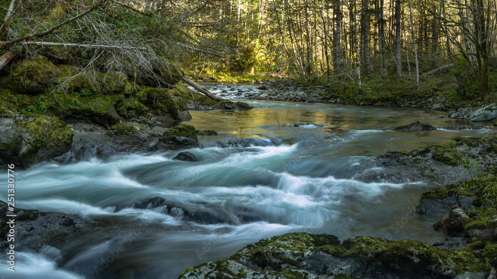 Rivers Bend - The free flowing North Fork of the Siletz River. Oregon Coast Range. Rivers Bend - The free flowing North Fork of the Siletz River. Oregon Coast Range.