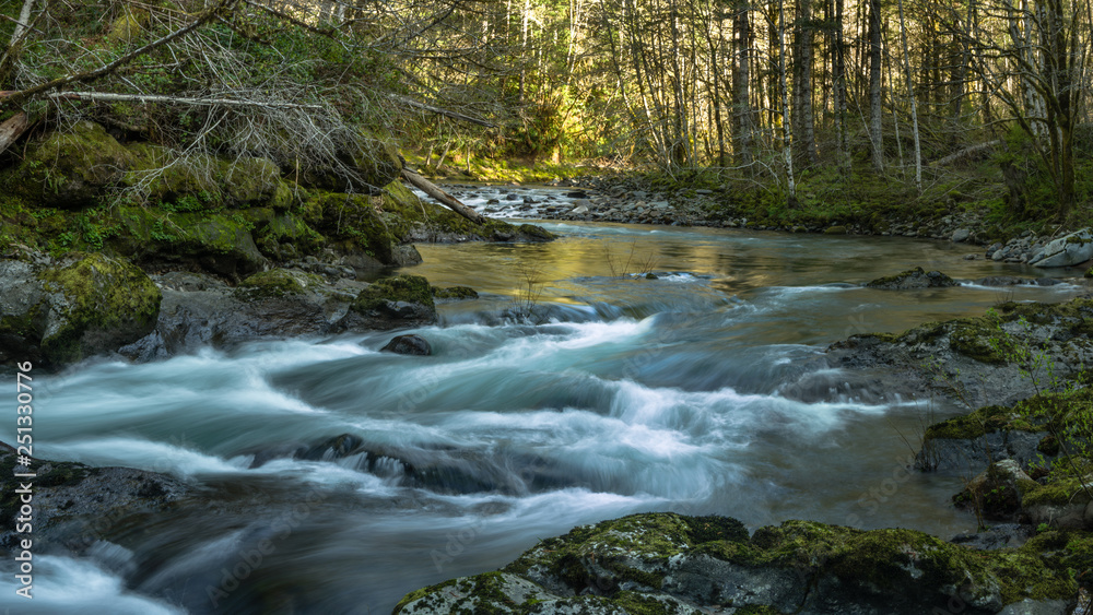 Rivers Bend - The free flowing North Fork of the Siletz River. Oregon Coast Range.