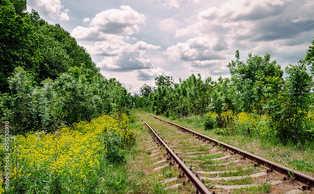 Obraz premium old railway among flowering trees