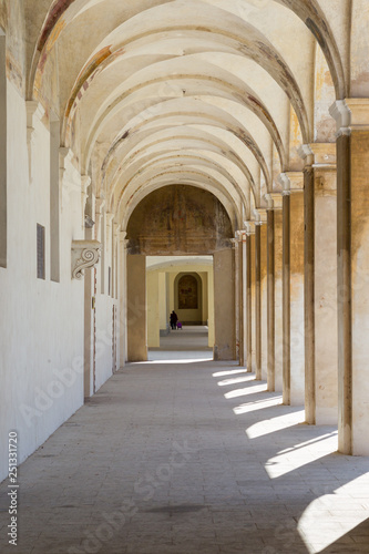 Università degli studi, Vercelli, Italia © Pixelshop