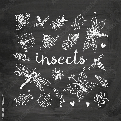 Insects doodle set, vector collection on chalkboard background