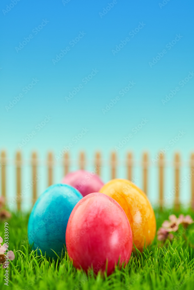 Bunte Eier auf Wiese im Garten zu Ostern Stock Photo Adobe Stock
