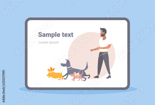 casual man dog walker guy walking with many dogs owner with pets different breeds male cartoon character full length flat copy space horizontal