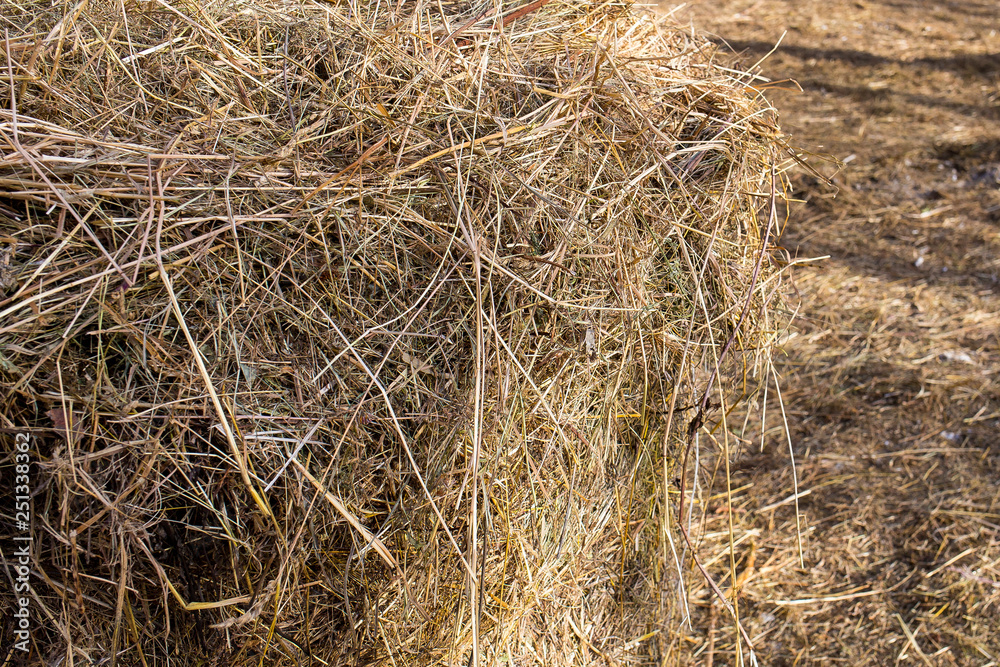haystack, straw in the village, horse yard, winter, snow, (farm) haystack, straw in the village, horse yard, winter, snow, (farm)
