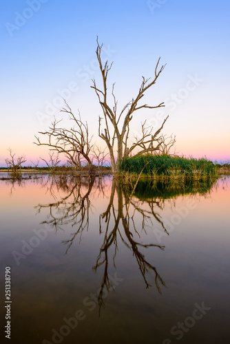 Dusk Rainbow, Griffith, Australia photo