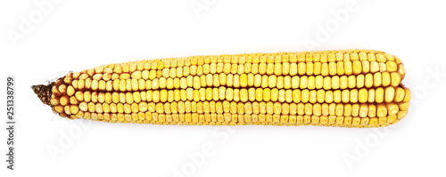 Corn cob isolated on white background, top view