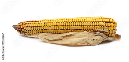 Corn cob with dry, wilted maize leaves, isolated on white background   photo