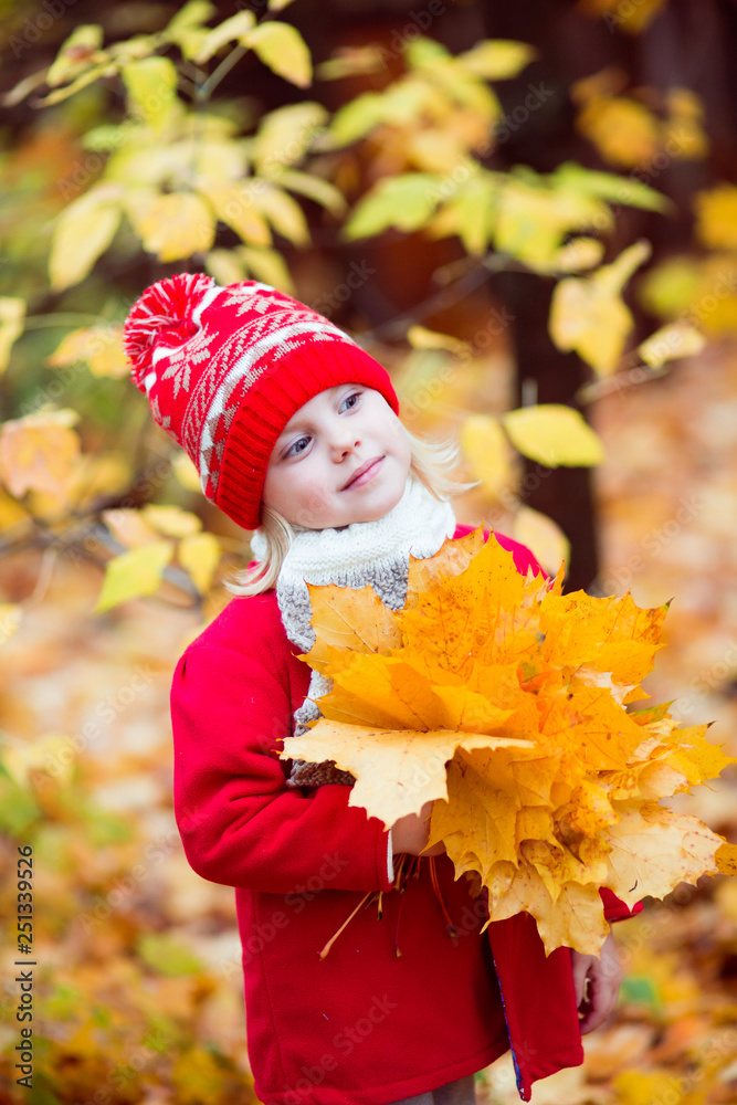 little girl 4 years old in a red hat and coat walking in autumn park in October, during the golden autumn with a bouquet of yellow maple leaves smiling little girl 4 years old in a red hat and coat walking in autumn park in October, during the golden autumn with a bouquet of yellow maple leaves smiling