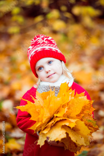 little girl 4 years old in a red hat and coat walking in autumn park in October  during the golden autumn with a bouquet of yellow maple leaves smiling