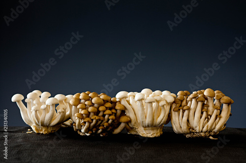 Close up mushrooms on table