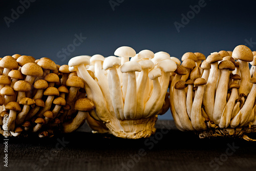 Close up mushrooms on table