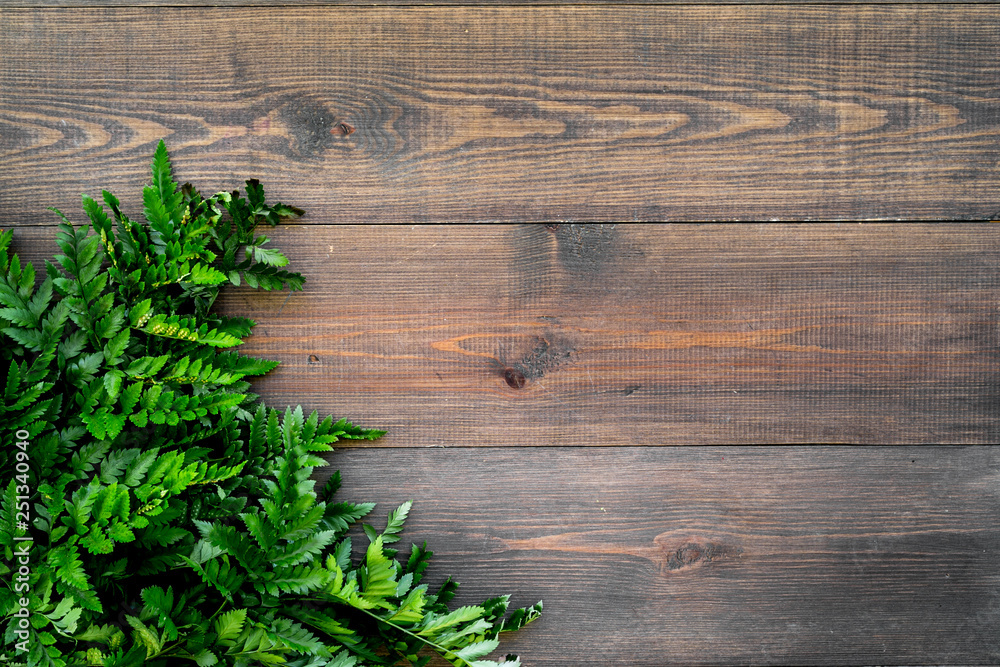 Spring concept. Green fern branches on dark wooden background top view copy space Spring concept. Green fern branches on dark wooden background top view copy space