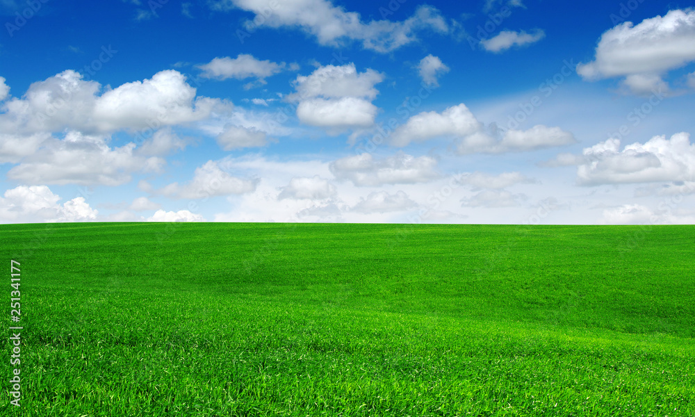 green field and blue sky