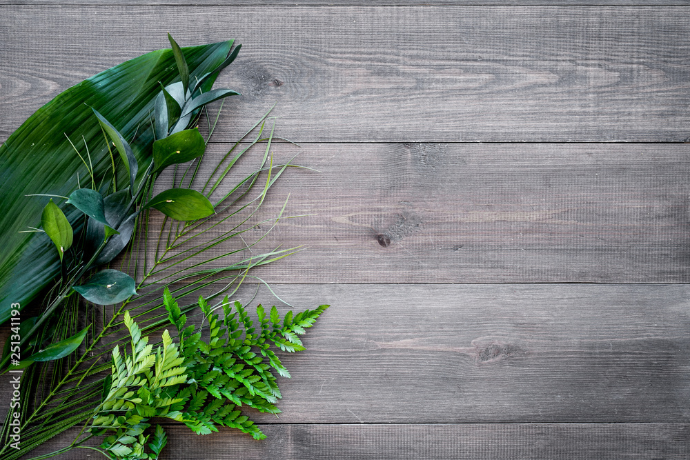 Spring composition. Young green leaves and branches on dark wooden background top view copy space Spring composition. Young green leaves and branches on dark wooden background top view copy space