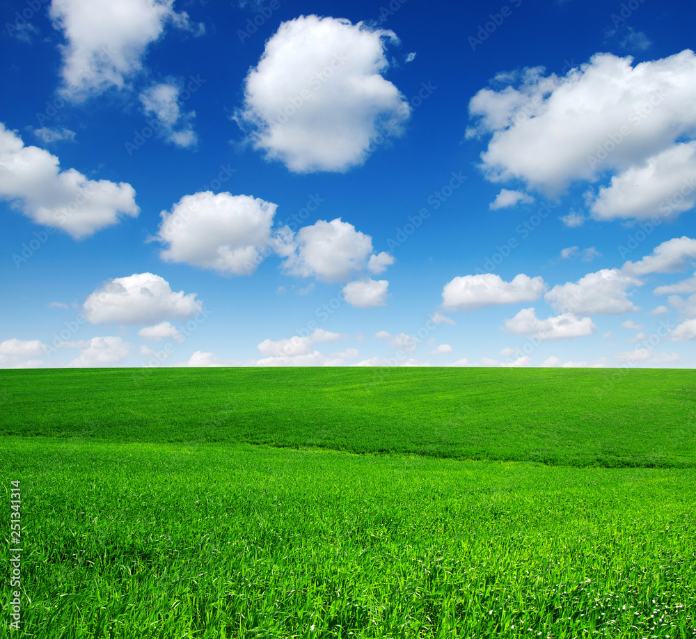 green field and blue sky green field and blue sky