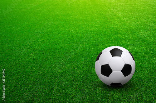Soccer ball on the field