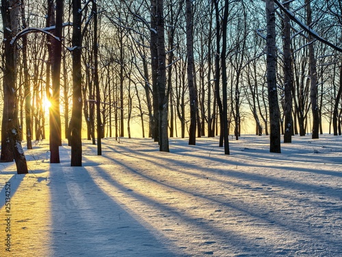 Sunset in the park covered with snow