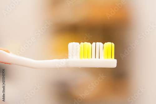 One toothbrush  close up