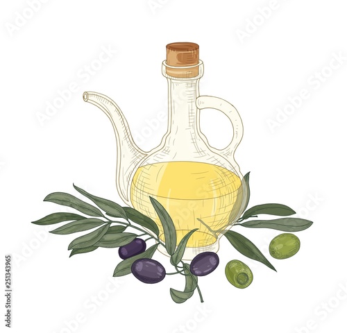 Elegant drawing of extra virgin oil in glass jug, olive tree branches with leaves, black and green fruits or drupes isolated on white background