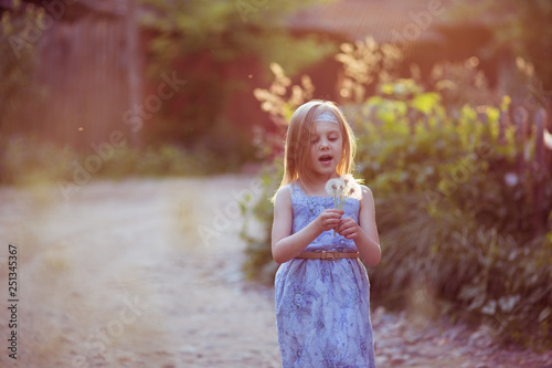 blond lovely girl 6 years old blowing on dandelions at sunset, evening sun