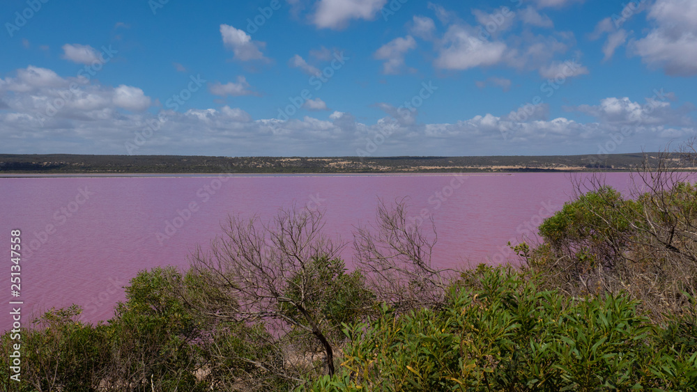 Pink lake in Western Australia