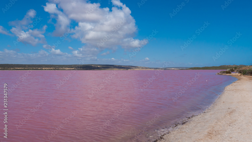 Hutt Lagoon, Pink salt lake in Western Australia