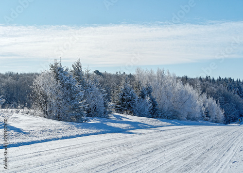 A snow covered road bordered with trees in rural Amercia.