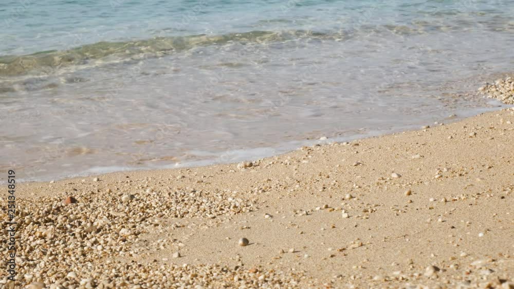 Sandy beach coastline and calm sea on sunny day Sandy beach coastline and calm sea on sunny day