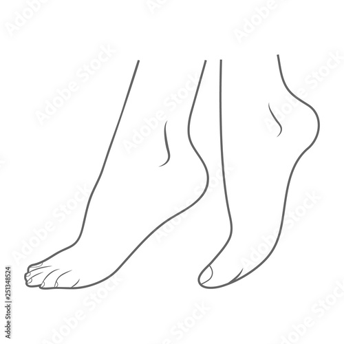 Feet - Lateral View Outside Isolated On A White Background. Vector Illustration. Orthopedics, Organs Concept.