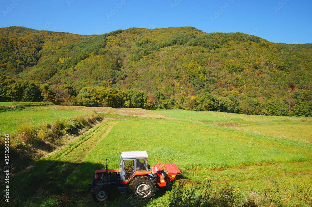 Fototapeta premium Tractor Mowing harvest Grass