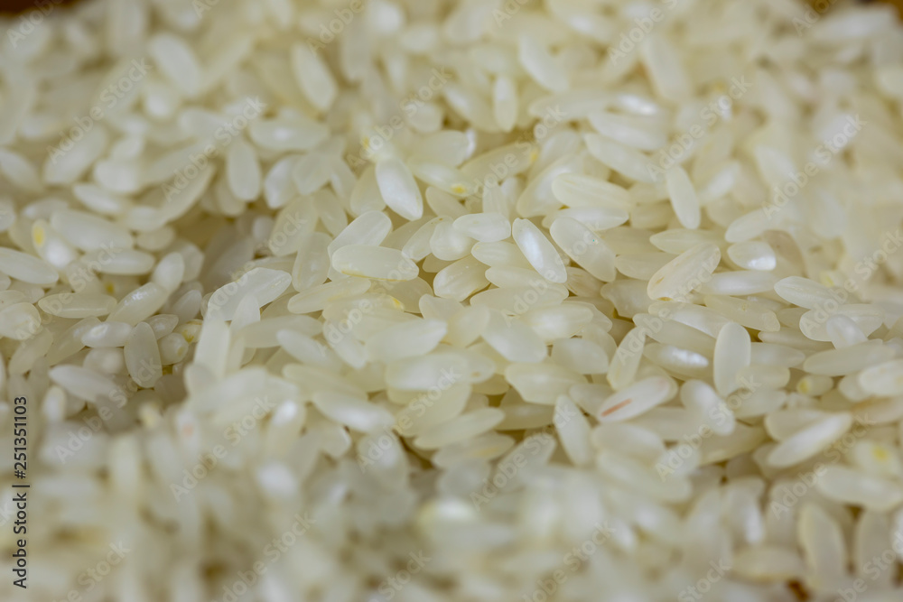 Rice Rice