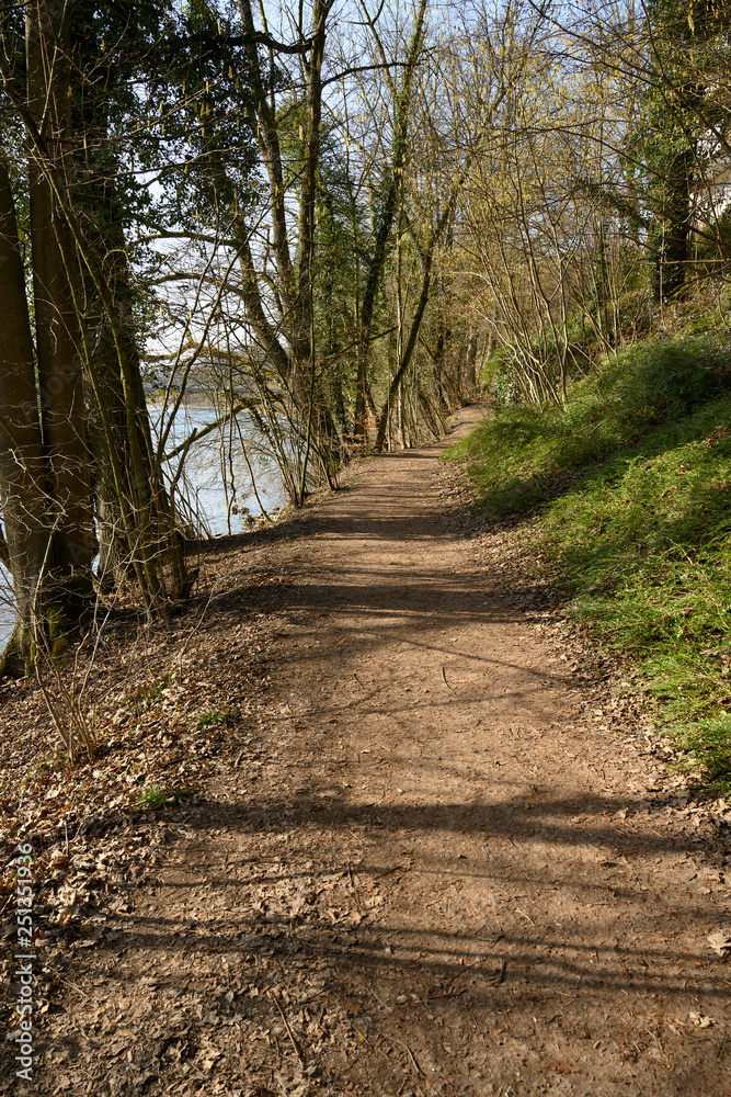 Fototapeta premium Kloster-Fahr-Weg an der Limmat, Zürich, Schweiz