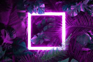 Creative fluorescent color layout made of tropical leaves with neon light square. Flat lay. Nature concept.