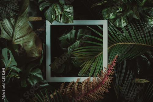 Photo Creative layout made of tropical leaves with paper card note