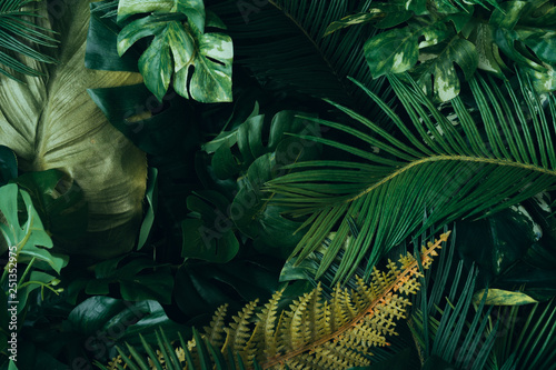 Creative layout made of tropical leaves. Flat lay. Nature concept.