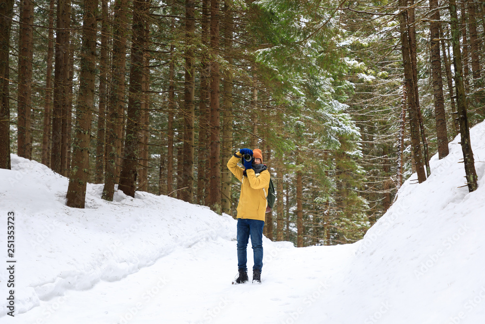 The photographer takes a photo of winter forest landscape