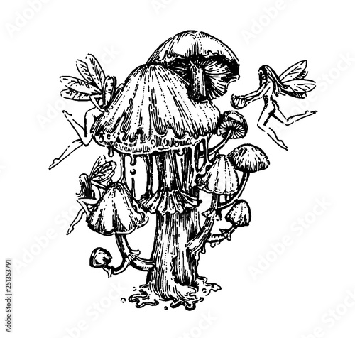 Vector hand drawn illustration of Tattoo mushrooms hand drown sketch illustration on white background.