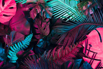 Creative fluorescent color layout made of tropical leaves. Flat lay neon colors. Nature concept.