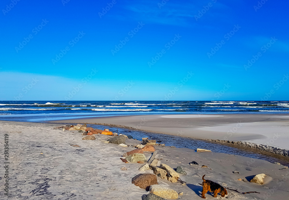 Fototapeta premium Fresh water stream going into the Baltic Sea in winter - Lubiatowo, Pomerania, Poland