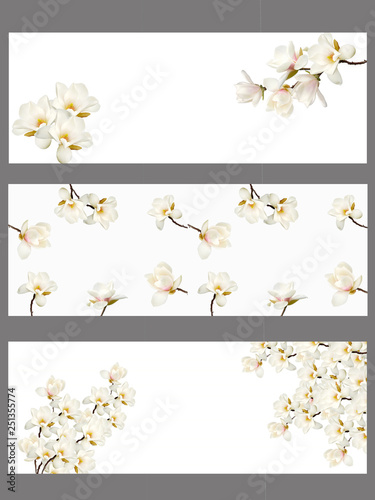 Beautiful magnolia flower blooming background. © swisty242