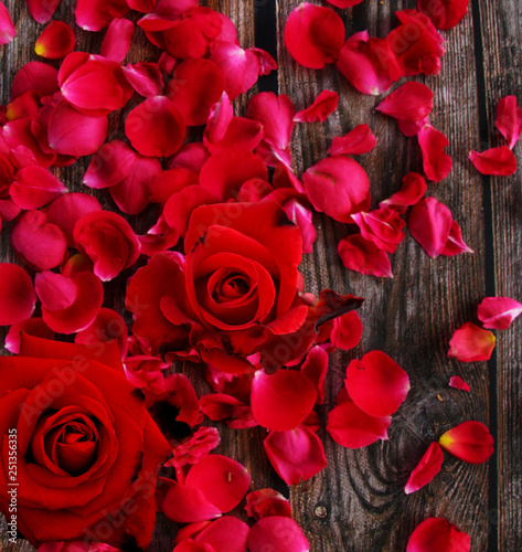 Red rose petal on wooden background.