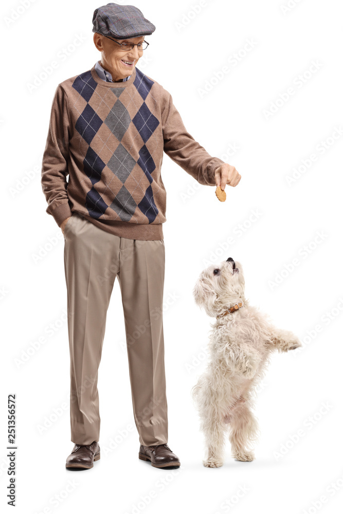 Senior man giving a treat to a little white dog standing on back paws