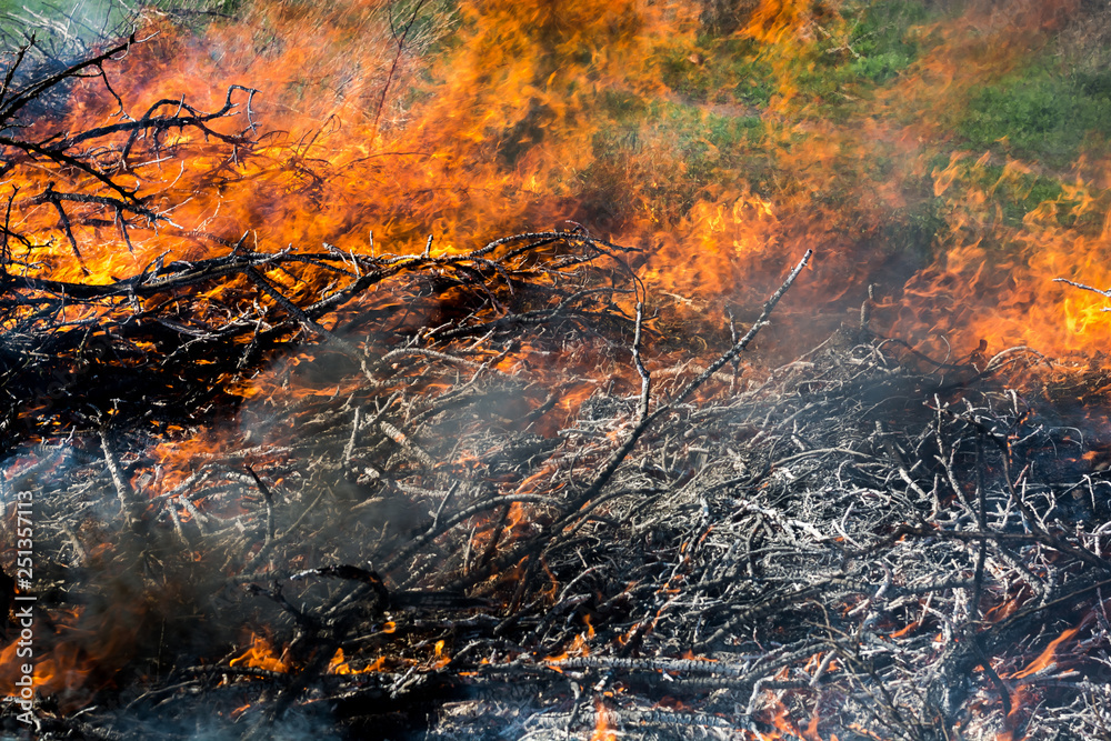 The old wooden house burns. Fire close-up, the boards are burning The old wooden house burns. Fire close-up, the boards are burning