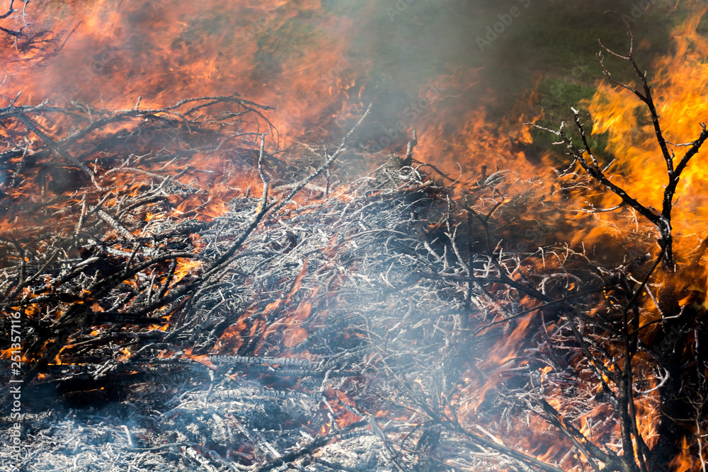 The old wooden house burns. Fire close-up, the boards are burning The old wooden house burns. Fire close-up, the boards are burning