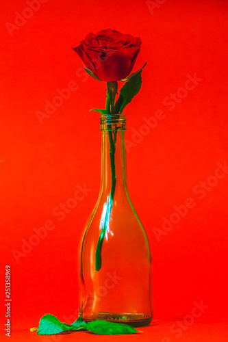 Red rose on a red background is in the bottle