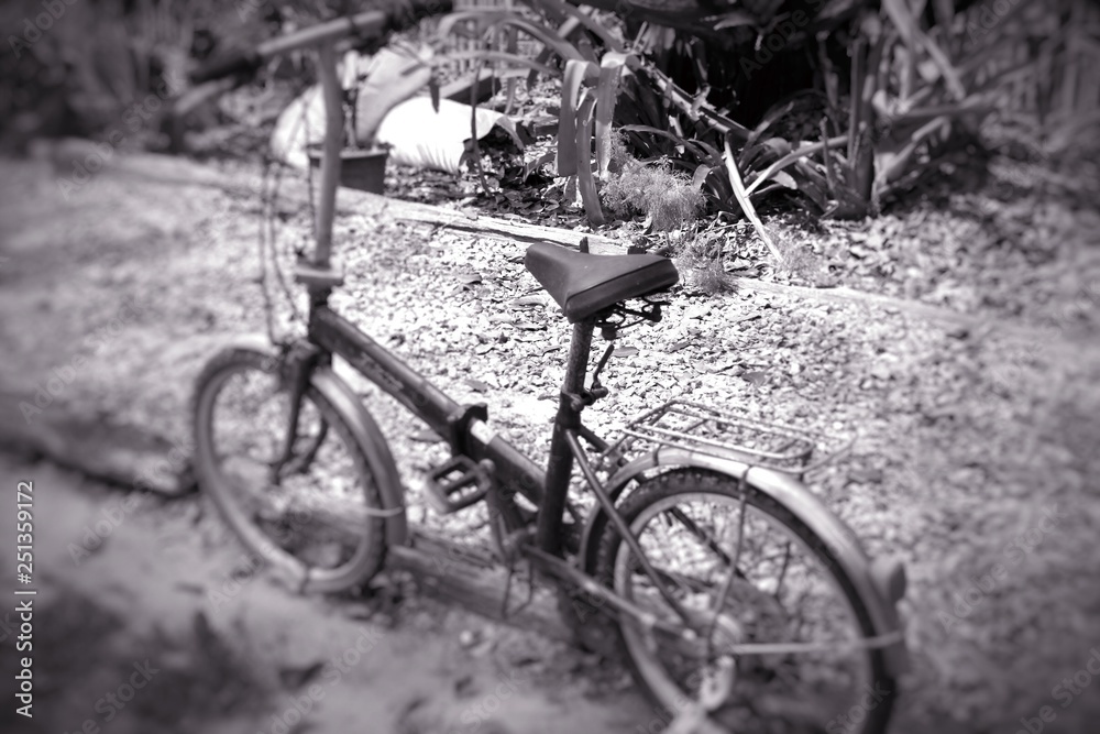 Old bike rust vintage