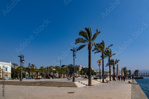 Line of palm trees - seaside boulevard in Cartagena, Murcia region © DoloresGiraldez