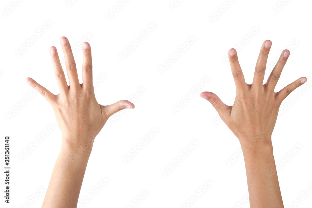 Raising Hands for Participation on isolated with clipping path. Raising Hands for Participation on isolated with clipping path.