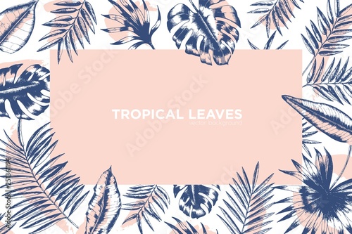 Tropical background decorated by frame made of exotic palm tree branches, Monstera and banana leaves. Hawaiian backdrop with foliage of jungle plants. Monochrome realistic vector illustration.